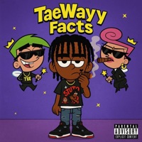 Facts - Single - TaeWayy