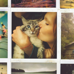 My Friends All Died in a Plane Crash - Cocoon Cover Art