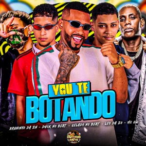 Vou te Botando (feat. Duck no Beat & MC GW)