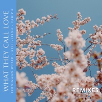 What They Call Love (Remixes) - EP - Ferdinand Weber, Kelli-Leigh & Fabich