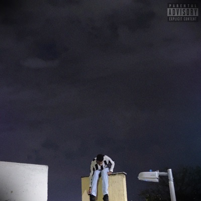 Errei, Fui Ney (feat. AK4DG) - Single