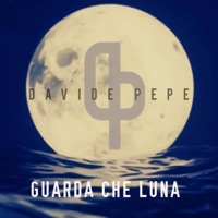 Guarda che luna
