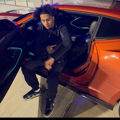 IN THE WILD - Single