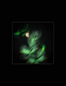 Luister naar Pilar, bekijk muziekvideo's, lees de bio, bekijk de tourdata, en meer!