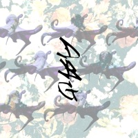 CUMBIA DE NADIE (feat. Lucien) - Single - Da Bom Garoto