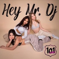 Hey Mr. D.J. - Single - 101 Girls