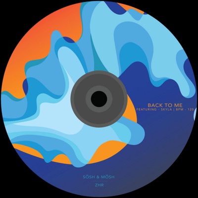 Back To Me (feat. Skyla) - Single