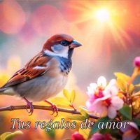 Tus regalos de amor (feat. Guest Singer Anabella (Anna) USA) - Single - Gloria May Byron