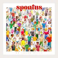 Le menuisier aux mains d’or (gavotte) — Spontus