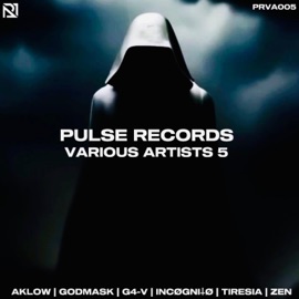 Berserker (feat. Aklow) Pulse Records
