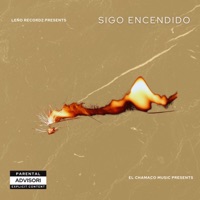 Sigo Encendido (feat. Psycho El Chamaco) - Single - linz909