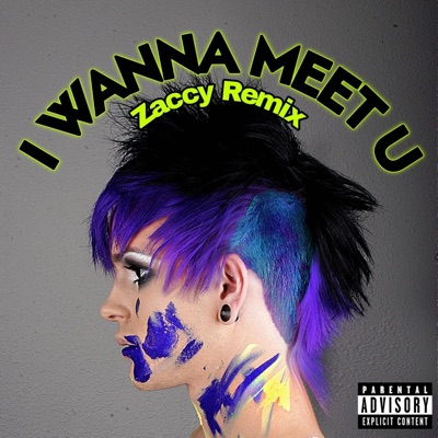 I Wanna Meet U (ZACCY Remix) - Single