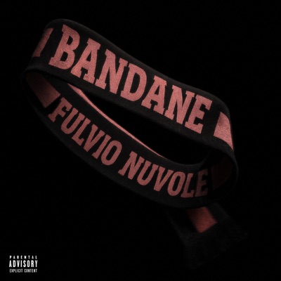 BANDANE (feat. Skinny Phoenix & Andree FR) - Single