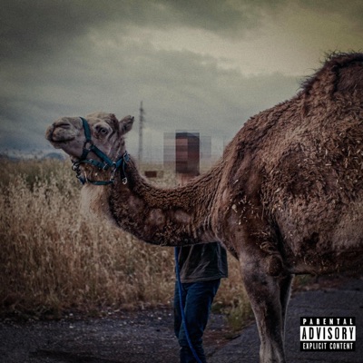 Bottle (feat. Davi Davi) - Single