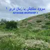 AFGWorship - ای تمامی زمین خداوند را بسرایید