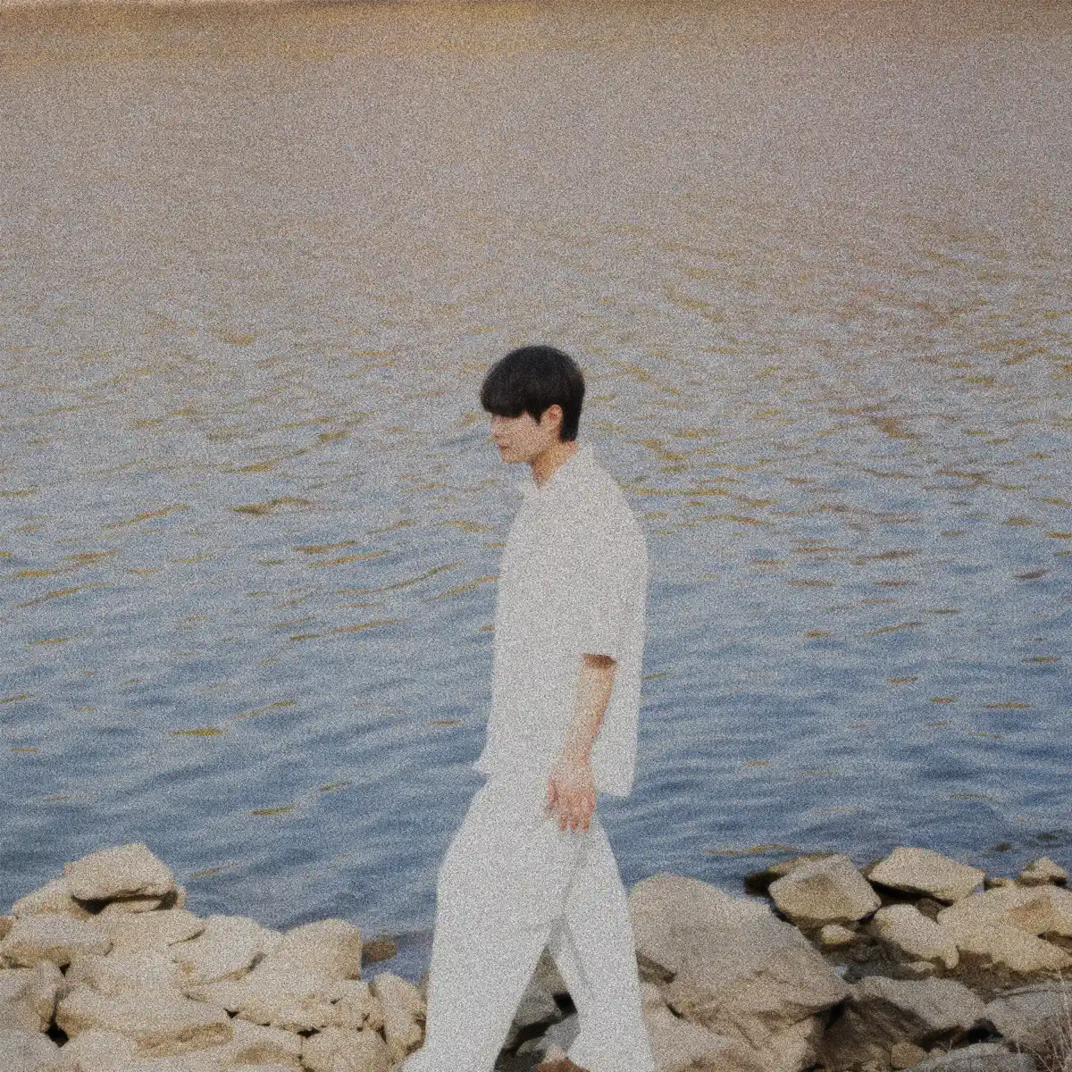 YOON HWAN - dandelion - Single (2026) [iTunes Plus AAC M4A]-新房子