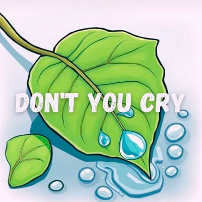 Don't You Cry - Single