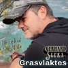 Grasvlaktes