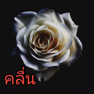 โอ๋วงFull - คลื่น
