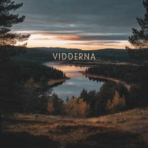 Vidderna (feat. Mando Diao)