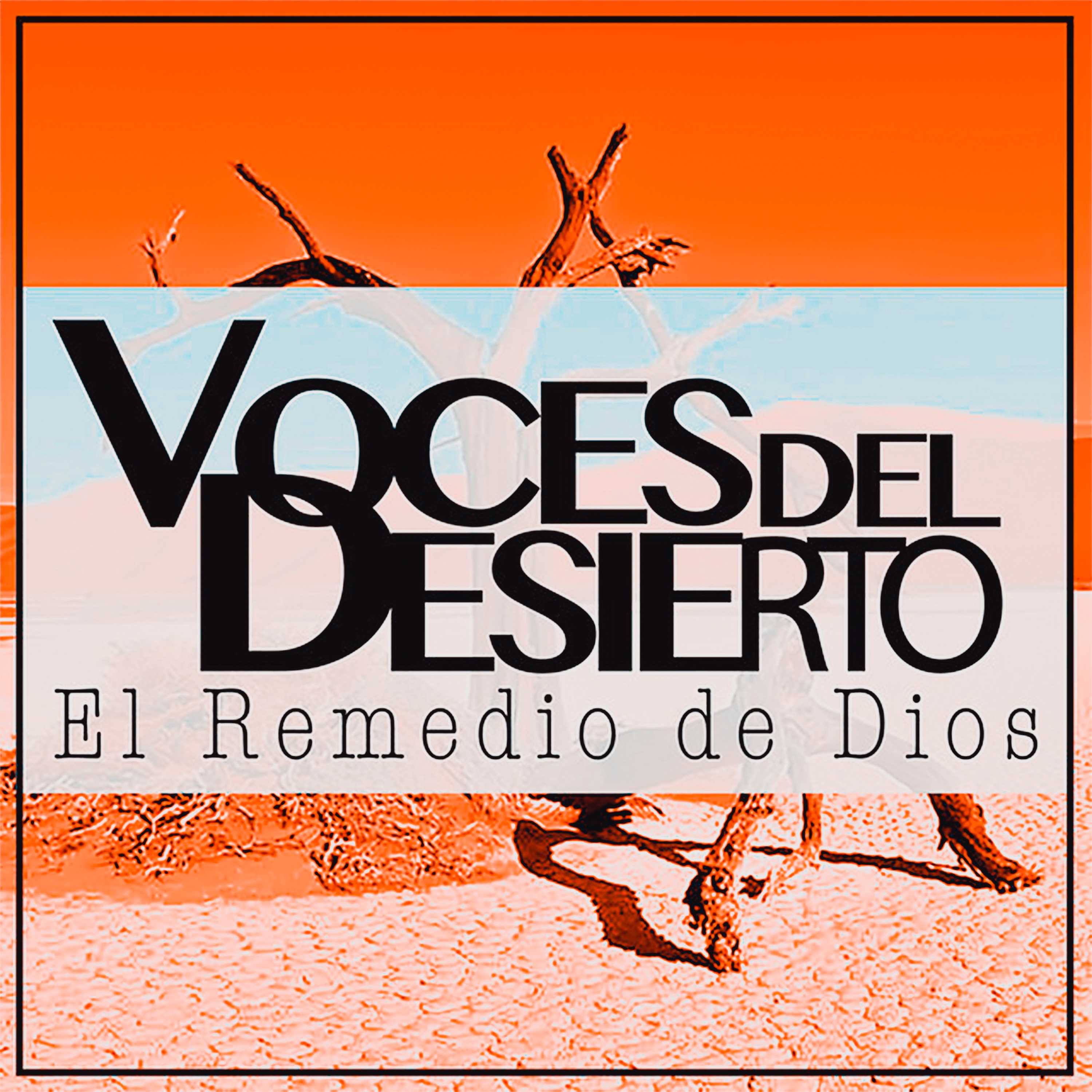 El Remedio de Dios
