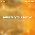 Need You Now