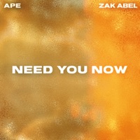 Need You Now - Single - APE & Zak Abel
