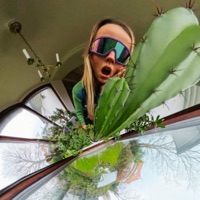 maldade natural - Single - Fefe Life