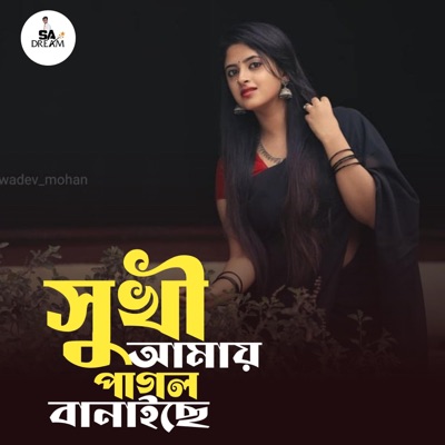 Shukhi Amay Pagol Banaise - Single