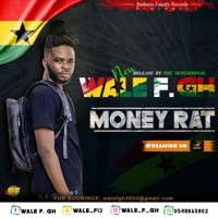 Money Rat - Single - WALE F GH