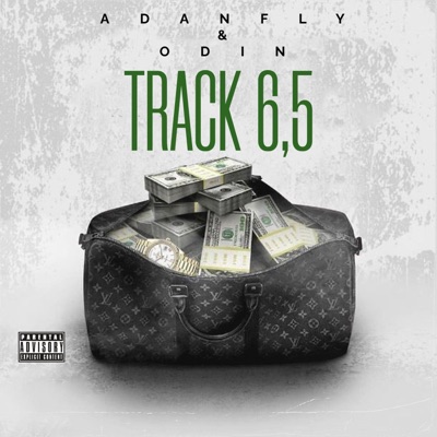 TRACK 6,5 (feat. Adanfly) - Single