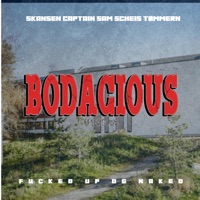 F****d Up Og Naked (Bodacious 2025) (feat. Scheis & Tømmern) - Single - Skansen & Captain Sam