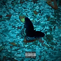 Movie Motion - Single - N-47