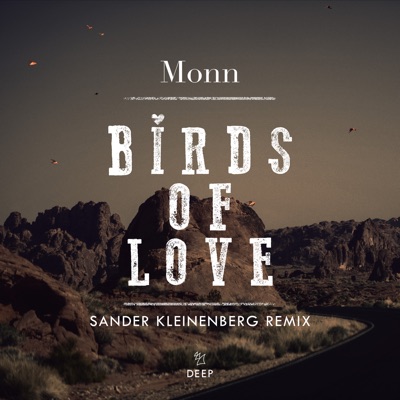 Birds of Love (Sander Kleinenberg Remix) - Single