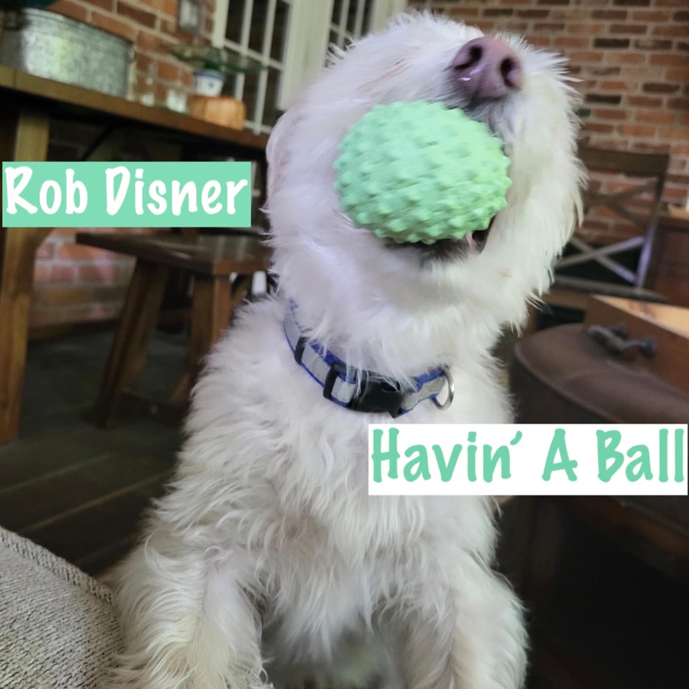 Обложка альбома «Havin' A Ball» — Rob Disner