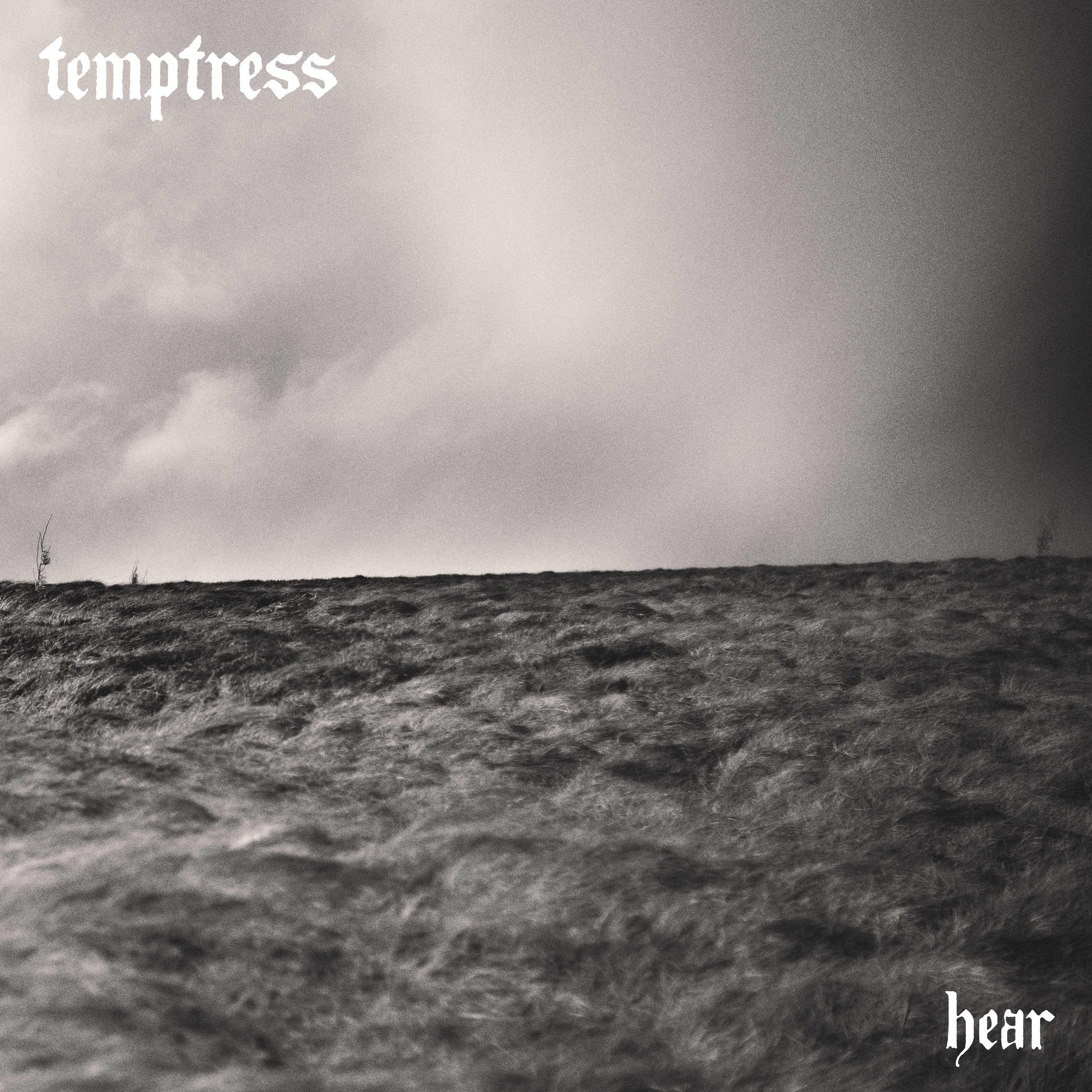 Temptress - Narrows