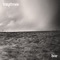 Narrows - Temptress lyrics