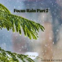 Focus Rain, Pt. 2 (feat. Ayoub Houmanna, Alma Lin, Nina Nalo, Sensory Meditation & Flame Timo) - Single - Jasper Whisper