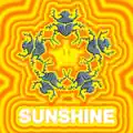 Sunshine