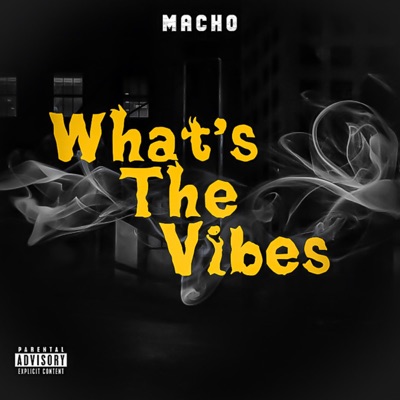 Whats the Vibes - Single