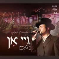 Go On - גיי אן (feat. Mendy Hershkowitz Band & Yedidim Choir) - Single - Meilech Braunstein