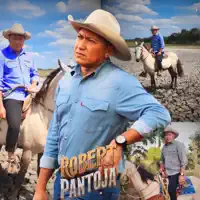 Apersogao de un Guayabo — Robert Pantoja