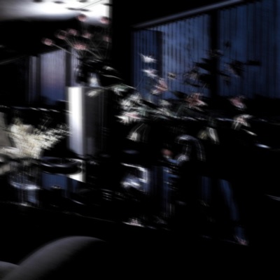 DUCK - Single