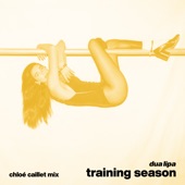 Training Season (Chloé Caillet Mix) artwork