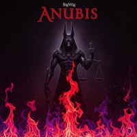 ANUBIS - BigWig