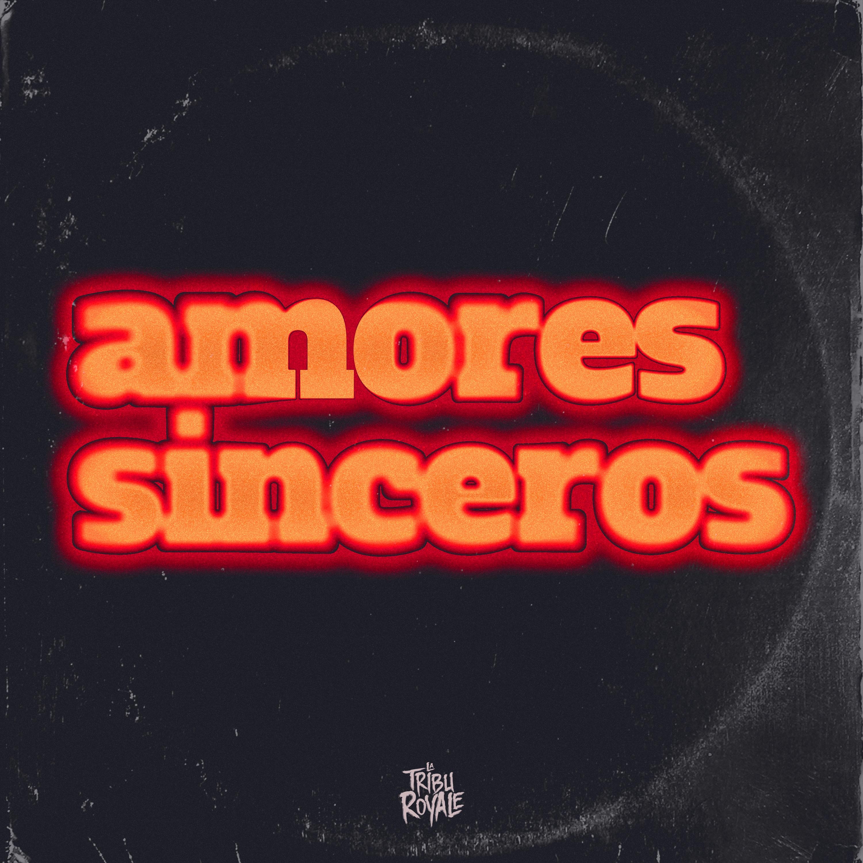 Amores Sinceros - Single