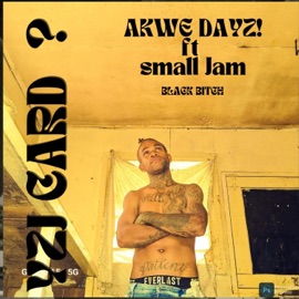 B!tch (feat. Mossa) YZJ CARD ?