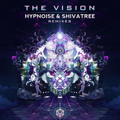 The Vision (Remixes)