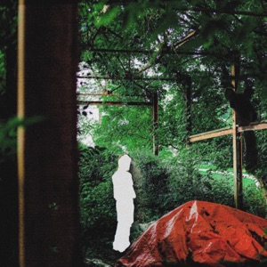 The Stranger - Single