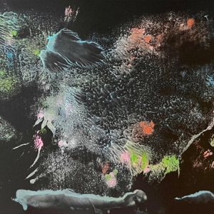 Goodwill & Understanding (Legowelt Remix) [feat. Emily Kokal] - Single